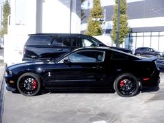 ӡǣԣͥࡪҳܥͥåȤ䡢ӡ֥饨֥ʤɡե륫Ǥ 2