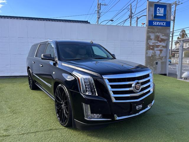 外装は凄く奇麗です