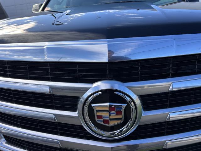 フロントグリルも凄く奇麗です。