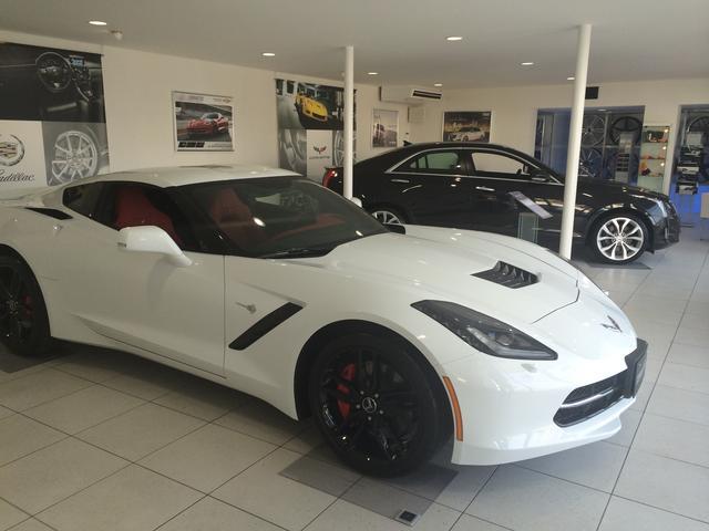 キャデラックエスカレード 　プラチナム　正規ディーラー車　アダクティブクルーズ　マグネティックライドコントロース　ナビ　地デジ　バック＆フロント＆全周囲カメラ　アップルカープレイ　ヘッドレスト＆フリップダウンモニター電動ステップ（56枚目）