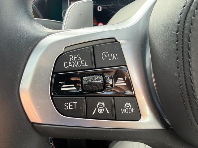 X3 M40d 後期 セレクトパッケージ 黒革 サンルーフ(21枚目)