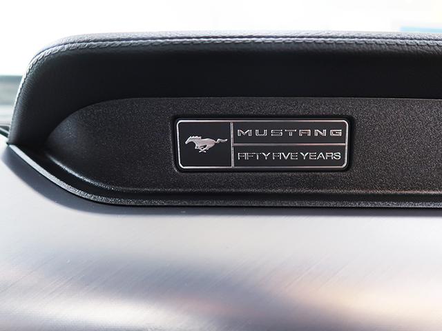 2020モデルECOBOOSTプレミアム実走行証明書付(18枚目)
