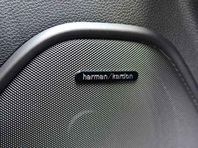 ダッジ・デュランゴ ＲＴ　ＰＬＵＳカナダモデル　ブラックトップ　Ｈａｒｍａｎ／Ｋａｄｏｎ　テクロノジーグループ　アダプティブクルーズ　ＬＥＤヘットライト　シートヒーター　シートエアコン　エンジンスターター　電動リフトゲート（16枚目）