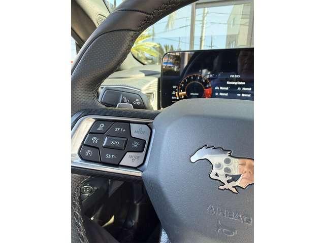 マスタング ＧＴ　レザーシート　格納電動ミラー　シートヒーター（17枚目）