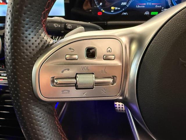 ＥＱＡ ＥＱＡ２５０　ＡＭＧラインパッケージ　令和３年式／ＡＭＧライン／アドバンスドパッケージ／パノラミックスライディングルーフ／専用ハーフレザーシート＆パワーシート／ＬＥＤオートヘッドライト（17枚目）