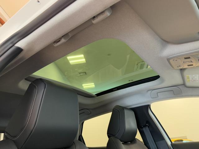 E-C4 シャイン ワンオーナー/パノラミックスライディングルーフ/バックモニター/LEDオートヘッドライト(29枚目)