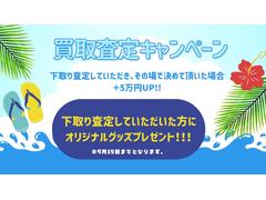 ܥ ܥǣԣӡ 9570664A30250803W001 2