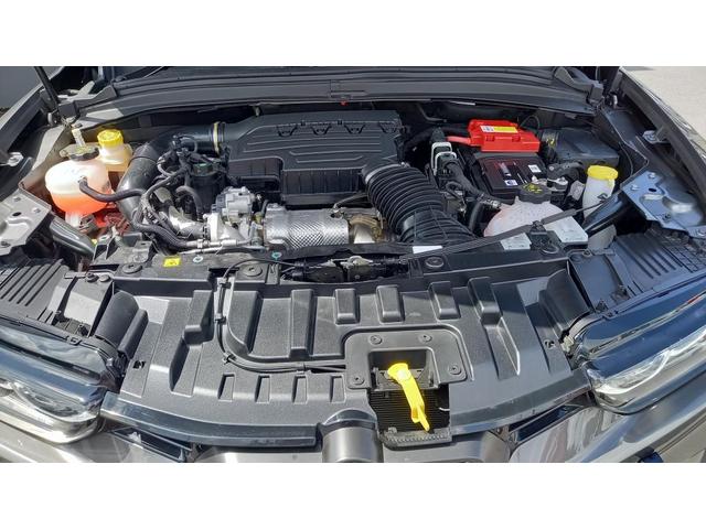 トナーレ ハイブリッド　サンルーフエディション（19枚目）