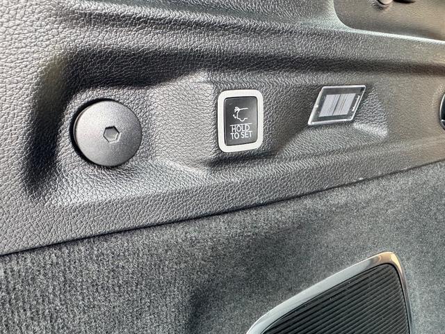 �n���Y�t���[�@�\�ƕ��p�ł���p���[�o�b�N�Q�[�g�W�������B�L�[���X�Ǝԓ�����X�C�b�`�ł��J���\�ł��B