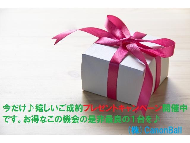 リミテッドリフトUPベージュ革ウッドビルトインナビ地デジTV(20枚目)