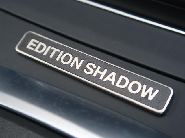 1シリーズ 118d Mスポーツ エディションシャドー ブラックレザー 専用18インチAW ACC ドライビングアシスト パーキングアシスト バックカメラ LEDライト 第6世代iDrive パワーシート シートヒーター クリーンディーゼル(38枚目)