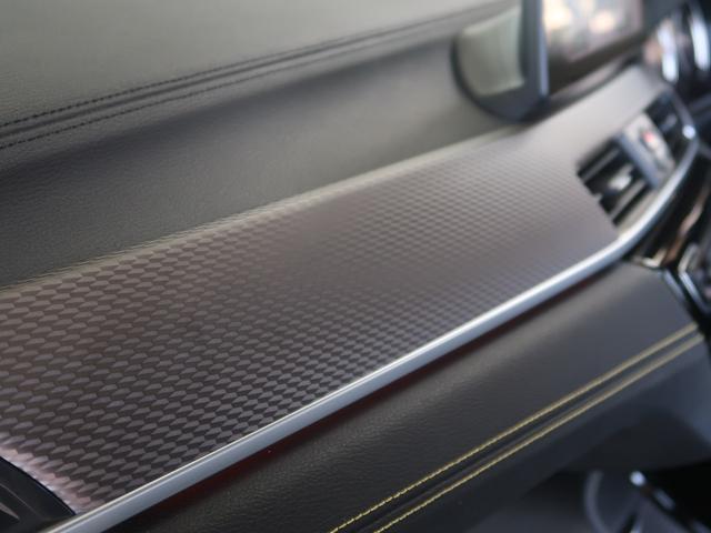 Ｘ２ ｘＤｒｉｖｅ　１８ｄ　ＭスポーツＸ　アドバンスドアクティブセーフティパッケージ　電動テールゲート　ハーフレザーシート　シートヒーター　純正ＨＤＤナビ　２ゾーンＡＣ　ＡＣＣ　衝突被害軽減ブレーキ　ＬＥＤヘッドライト　クリーンディーゼル（54枚目）