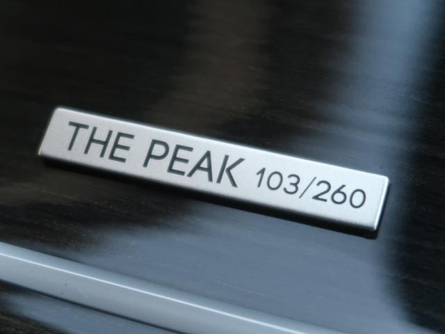 �U�E�s�[�N��p�̃C���e���A�o�b�W����������܂��B�Q�U�O�����̂P�O�R�̃V���A���i���o�[�����܂�܂��B�󏭐������肰�Ȃ��A�s�[������A�I�[�i�[�S�����邮�鑕���ł��ˁB