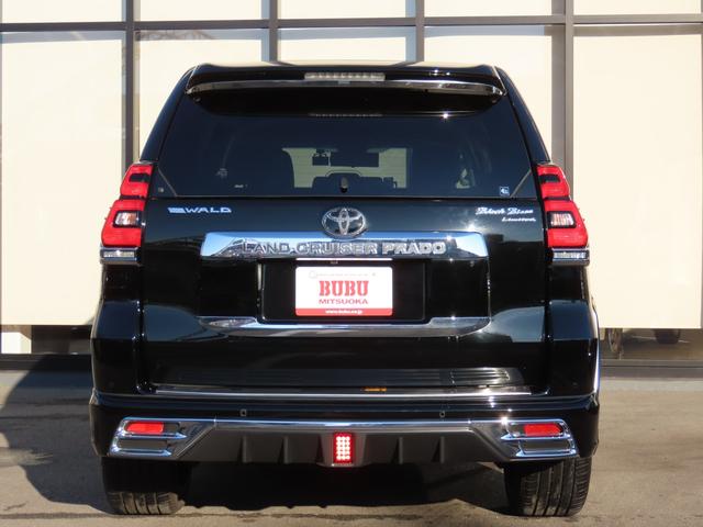 ランドクルーザープラド TX ELFORDサウンドチャンバーパイプ WALDフロントスポイラー リアスカートオーバーフェンダー フロントグリル アルパインビッグX リフトアップスピーカー サンルーフ ACC バックカメラ(8枚目)