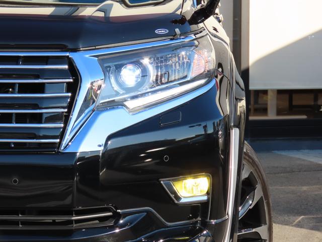 ランドクルーザープラド TX ELFORDサウンドチャンバーパイプ WALDフロントスポイラー リアスカートオーバーフェンダー フロントグリル アルパインビッグX リフトアップスピーカー サンルーフ ACC バックカメラ(19枚目)