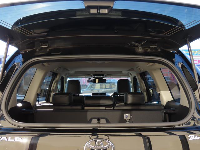 ランドクルーザープラド TX ELFORDサウンドチャンバーパイプ WALDフロントスポイラー リアスカートオーバーフェンダー フロントグリル アルパインビッグX リフトアップスピーカー サンルーフ ACC バックカメラ(28枚目)