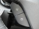 ＬＴ　ＲＳ　正規ディーラー　シートヒーター＆ベンチレーション　ステアリングヒーター　ＢＯＳＥサウンド　本革シート　バックカメラ　アンビエントライト　ＥＴＣ　純正２０インチＡＷ　デジタルインナーミラー（32枚目）