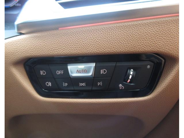 4シリーズ 420iクーペ Mスポーツ 純正ナビゲーション 18インチアロイホイール 茶レザーシート 電動シート フロントシートヒーター 全周囲カメラ 衝突軽減ブレーキ 電動テールゲート(41枚目)