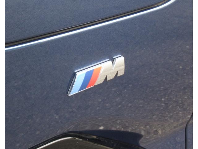 ５シリーズ ５３０ｅ　Ｍスポーツ　エディションジョイ＋　５３０ｅ　Ｍスポーツ　エディションジョイプラスＨＤＤナビゲーション　電動レザーシート　衝突軽減ブレーキ　１９インチアルミホイール（10枚目）