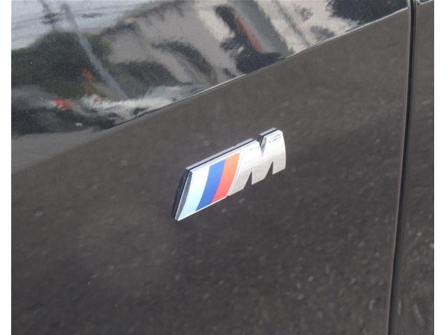 Ｘ５ ｘＤｒｉｖｅ　４０ｄ　Ｍスポーツ　純正ナビゲーション　ＥＴＣ　２０インチアロイホイール　バックカメラ　全周囲カメラ　コーヒーブラウンレザー　フロンシートヒーター　衝突軽減ブレーキ　サンルーフ　電動トランク（14枚目）