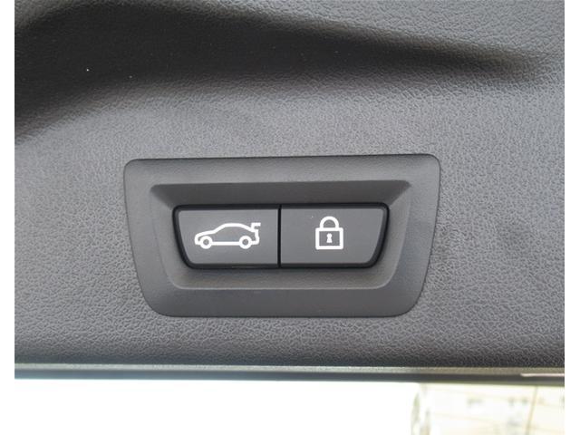 Ｘ５ ｘＤｒｉｖｅ　４０ｄ　Ｍスポーツ　純正ナビゲーション　ＥＴＣ　２０インチアロイホイール　バックカメラ　全周囲カメラ　コーヒーブラウンレザー　フロンシートヒーター　衝突軽減ブレーキ　サンルーフ　電動トランク（59枚目）