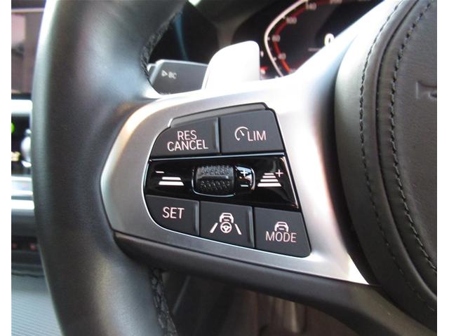 3シリーズ 320d xDrive Mスポーツ 純正ナビゲーション 18インチアロイホイール 全周囲カメラ ハーフレザーシート 電動シート フロンシートヒーター 電動テールゲート 衝突軽減ブレーキ Bluetooth(40枚目)