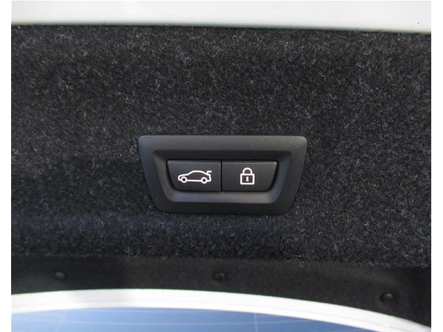 3シリーズ 320d xDrive Mスポーツ 純正ナビゲーション 18インチアロイホイール 全周囲カメラ ハーフレザーシート 電動シート フロンシートヒーター 電動テールゲート 衝突軽減ブレーキ Bluetooth(52枚目)