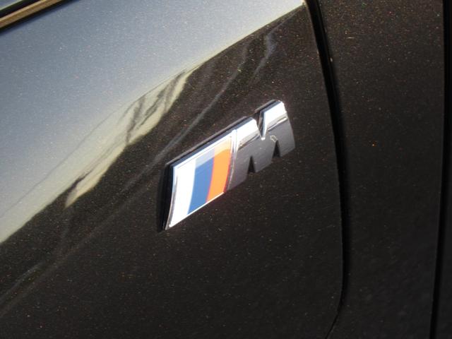 ｉＸ１ ｅＤｒｉｖｅ　２０　Ｍスポーツ　純正ナビゲーション　１８インチアロイホイール　全周囲カメラ　ハーフレザー　フロンシートヒーター　衝突軽減ブレーキ　元デモカー（10枚目）