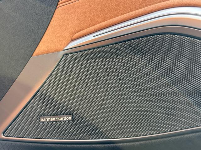 ３シリーズ ３２０ｄ　ｘＤｒｉｖｅ　ＭスポＥＤジョイ＋ハイライＰ　認定中古保証　フルレザー　茶革　禁煙車　Ｍパフォーマンスブレーキ（12枚目）