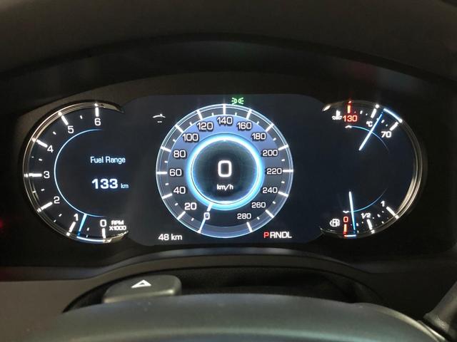 プラチナム ディーラー未導入10速AT 自動駐車システム(13枚目)