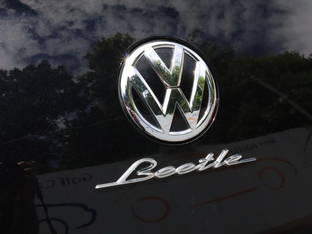 VOLKSWAGEN THE BEETLE CABRIOLET BASE GRADE