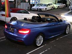 ꡼ 饫֥ꥪ졡ͥݡ 9571539A20251018W001 7