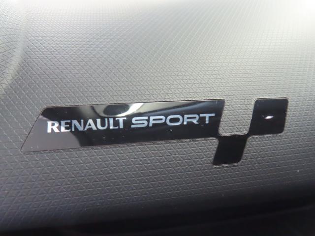 ルーテシア ルノースポール　トロフィー　ＳＤナビ　リアカメラ　ドライブレコーダー　クルーズコントロール　アイドリングストップ　盗難防止装置　過給器設定モデル　ＬＥＤヘッドライト（53枚目）