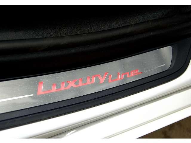 ５シリーズ ５２３ｄツーリング　ラグジュアリー　ディーゼルターボ　ワンオーナー　禁煙車　ＡＣＣ（30枚目）