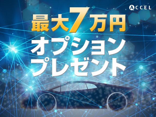 インテンス キャンバストップ ETC Bカメラ 社外マフラー(2枚目)
