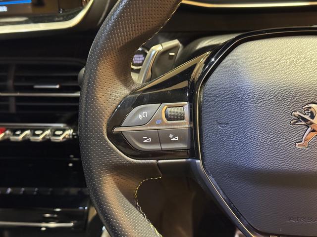 208 GTライン(30枚目)