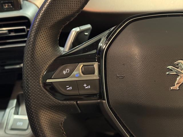 リフター GT(31枚目)