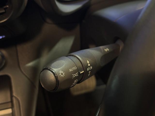 ベルランゴ シャイン ブルーHDi ACC ガラスルーフ サイド・バックカメラ Carplay 前後ドラレコ Bluetooth ETC 純正16インチアルミ(33枚目)