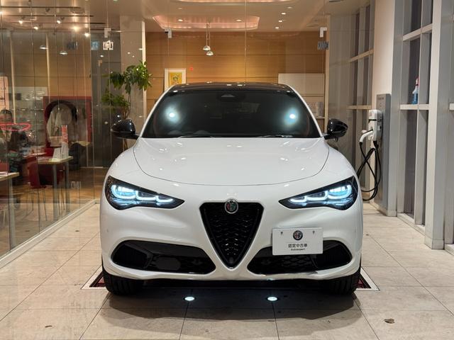 ステルヴィオ ２．０ターボ　Ｑ４トリブート　イタリアーノ（3枚目）