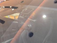  塼롡ץƥ֥롼ȥ롡ͷڸ֥졼졼󥭡ץȡã 9571681A30251018W001 6