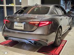 ꥢ ץƥ֥롼ȥ롡졼󥭡ץȡͷڸ֥졼ֳץ 9571681A30251020W004 4