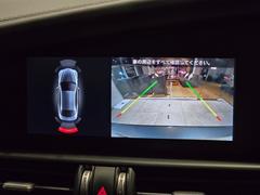 ꥢ ץƥ֥롼ȥ롡졼󥭡ץȡͷڸ֥졼ֳץ 9571681A30251020W004 6