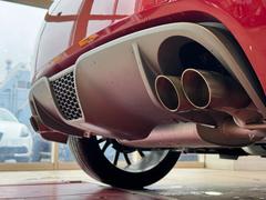 Хȣ ڥƥĥ͡ԥ֡省ѡ쥳ɥĥޥե顼 9571681A30251025W001 5