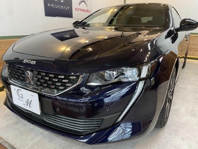 ５０８ ＧＴライン　フルパッケージ　ナイトビジョン　サンルーフ　ナッパレザー／ヒーター　ブラインドスポット　ナビＴＶ　フォーカルオーディオ　ＥＴＣ　パワーリアゲート　ＡＣＣ　レーンキープアシスト（17枚目）