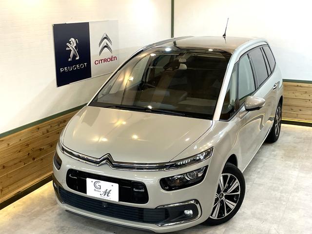 グランドC4 スペースツアラー シャイン ブルーHDi 3列7人乗り ガラスルーフ Bカメラ 360°カメラ ETC 電動リアゲート 純正フルセグナビ AppleCarplay Bluetooth 2L ディーゼルターボエンジン 6速AT USB入力端子(48枚目)