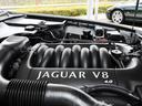 JAGUAR SOVEREIGN