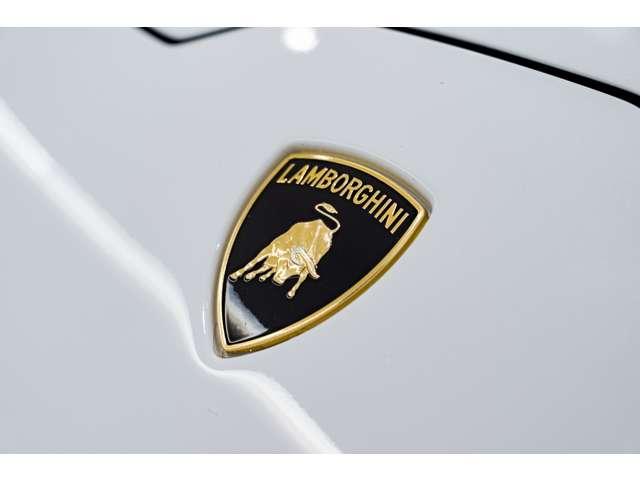 ウラカン ＬＰ５８０－２　（ＬＤＦ）　Ｂｉａｎｃｏ　Ｉｃａｒｕｓ　ＨＤＤナビ　ＬＥＤヘッドライト　認定中古車（17枚目）
