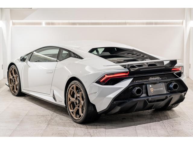 ウラカン テクニカ (LDF) Bianco Monocerus(5枚目)