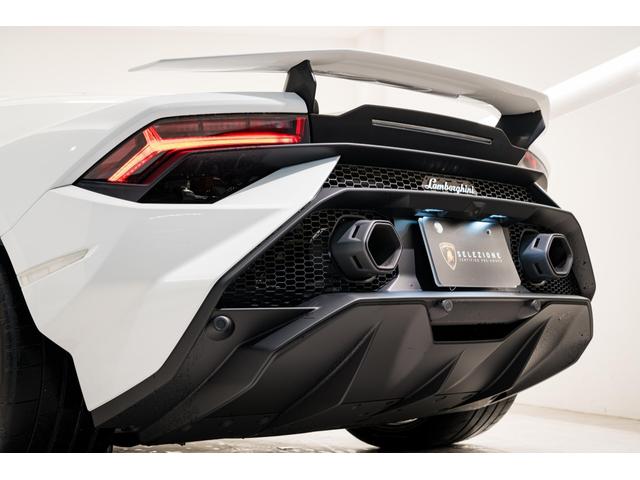 ウラカン テクニカ (LDF) Bianco Monocerus(10枚目)