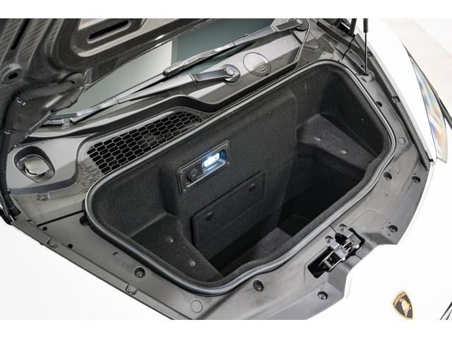 ウラカン テクニカ (LDF) Bianco Monocerus(18枚目)